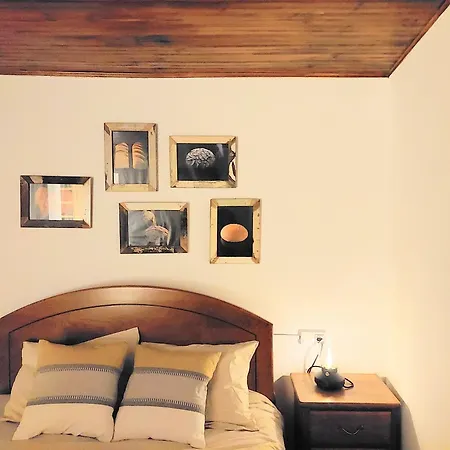 Tatil Evi Fountain House *